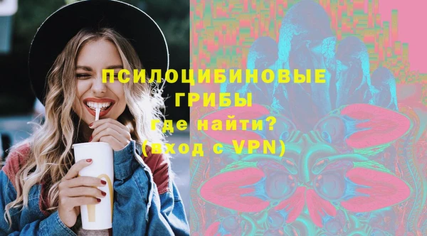 хмурый Алексеевка